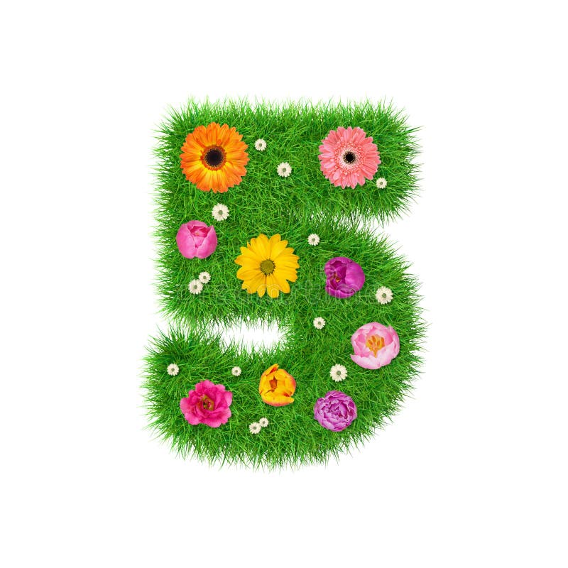 El número 5 hizo de la hierba y de las flores coloridas, concepto de la primavera para el collage del diseño gráfico ilustración del vector El número 5 hizo de la hierba y de las flores coloridas, concepto de la primavera para el collage del diseño gráfico ilustración del vector