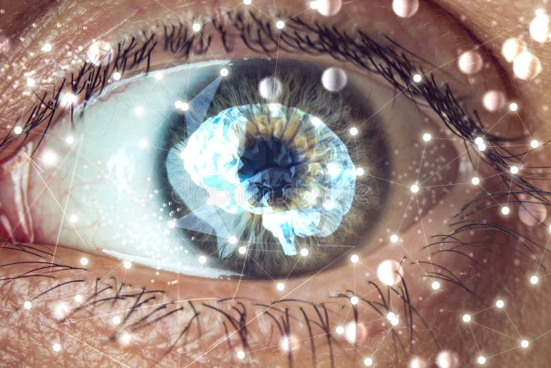 The human eye with the image of the brain in the pupil. The concept of artificial intelligence and the limitless possibilities of the mind. The human eye with the image of the brain in the pupil. The concept of artificial intelligence and the limitless possibilities of the mind