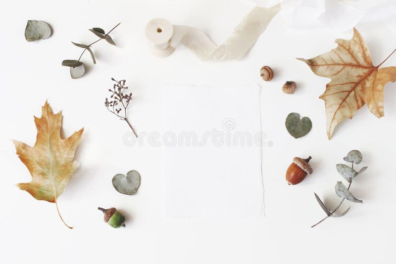 El otoño diseñó la foto común Escena de escritorio de la maqueta de los efectos de escritorio de la boda femenina con la tarjeta foto de archivo El otoño diseñó la foto común Escena de escritorio de la maqueta de los efectos de escritorio de la boda femenina con la tarjeta foto de archivo