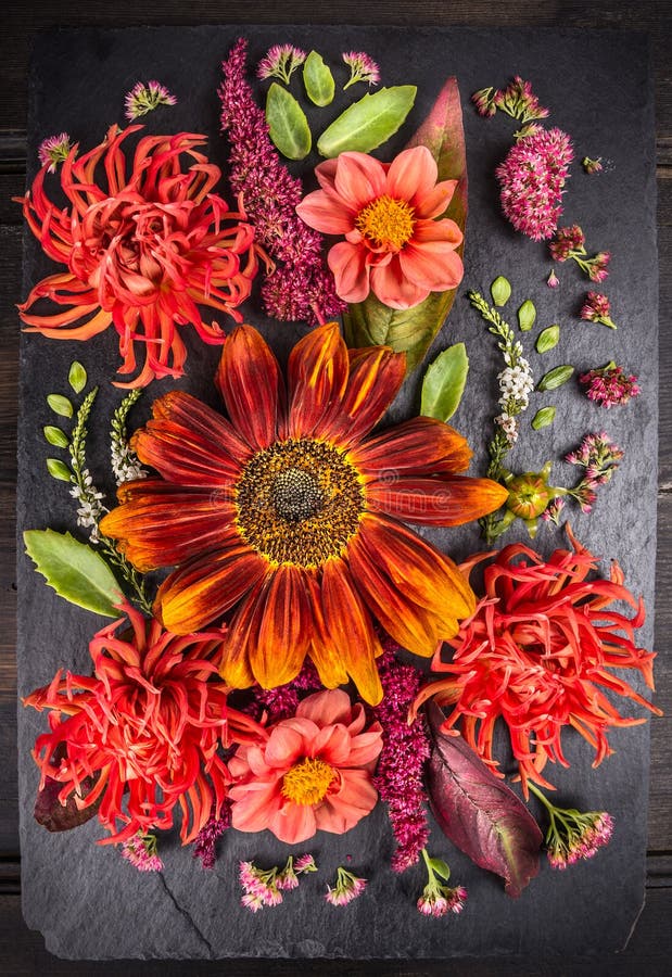 El otoño florece la composición con el girasol, las dalias y las hierbas en la tabla oscura fotografía de archivo libre de regalías El otoño florece la composición con el girasol, las dalias y las hierbas en la tabla oscura fotografía de archivo libre de regalías
