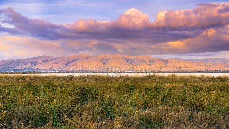 El paisaje de la puesta del sol de los pantanos de San Francisco Bay del sur, pico de la misión cubierto en puesta del sol colore foto de archivo El paisaje de la puesta del sol de los pantanos de San Francisco Bay del sur, pico de la misión cubierto en puesta del sol colore foto de archivo