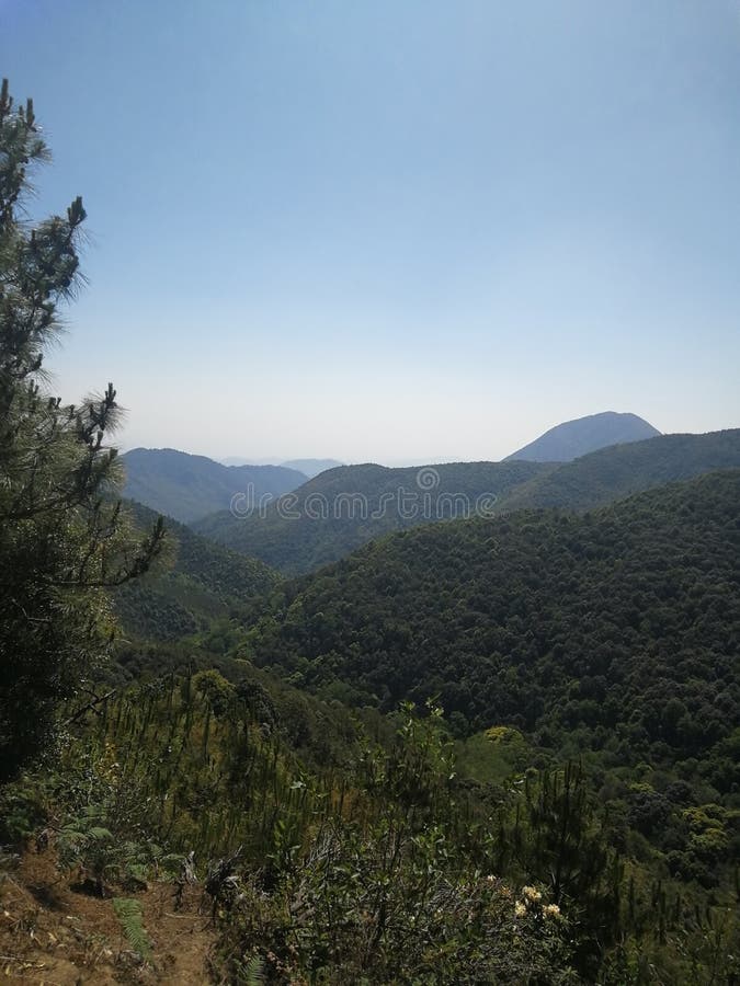 El paisaje del bosque primitivo es infinito, caminando en la sensación del país de las hadas imagen de archivo libre de regalías El paisaje del bosque primitivo es infinito, caminando en la sensación del país de las hadas imagen de archivo libre de regalías