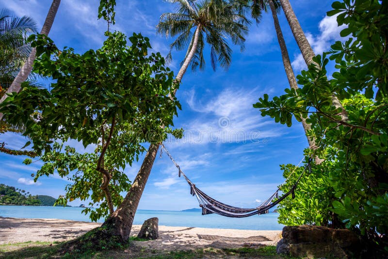 El paisaje marino consiste en el cielo azul, las palmeras del coco, la playa blanca de la arena, el kajak, la hamaca y la agua de fotos de archivo El paisaje marino consiste en el cielo azul, las palmeras del coco, la playa blanca de la arena, el kajak, la hamaca y la agua de fotos de archivo
