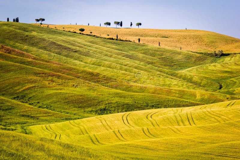 El paisaje toscano, Rolling Hills imágenes de archivo libres de regalías El paisaje toscano, Rolling Hills imágenes de archivo libres de regalías