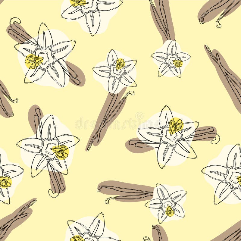 El palillo y la flor de la vainilla vector el modelo inconsútil dibujado mano Ejemplo del flor de la vainilla del sabor ilustración del vector