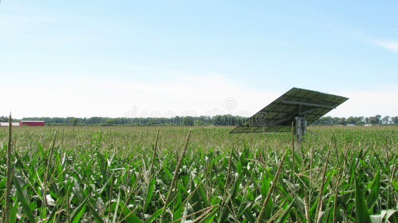 El panel solar Sun de seguimiento del lapso de tiempo en campo de maíz