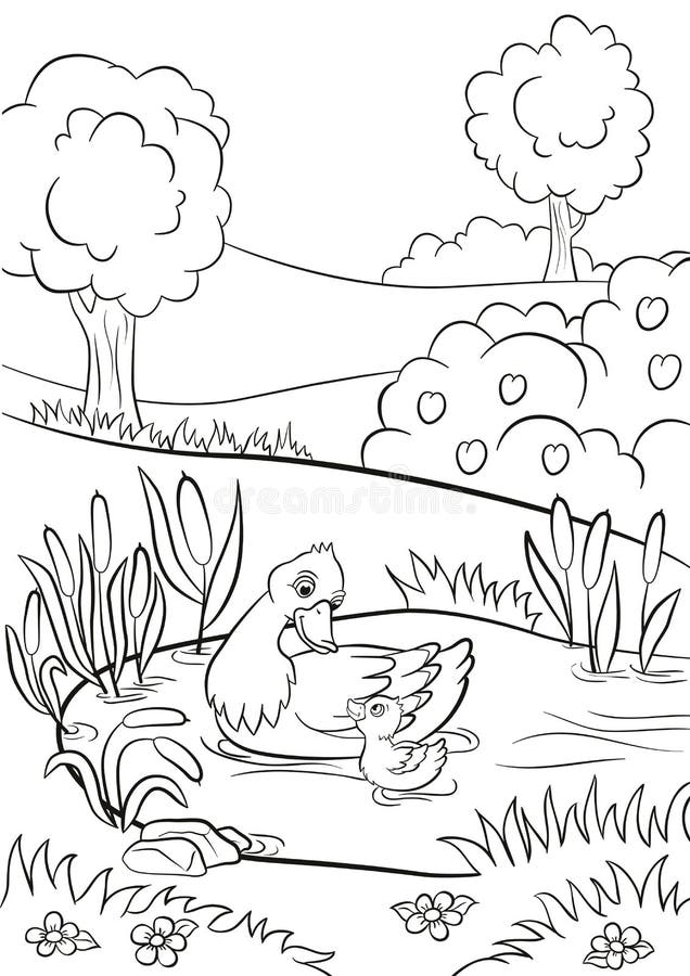 El pato bueno y el pequeño anadón lindo nadan en la charca ilustración del vector El pato bueno y el pequeño anadón lindo nadan en la charca ilustración del vector