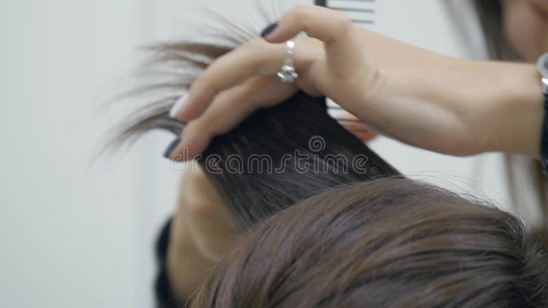 El peluquero del ` s de la mujer hace diseñar su pelo en el pelo corto