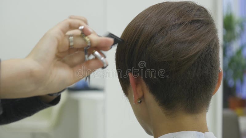 El peluquero del ` s de la mujer hace diseñar su pelo en el pelo corto