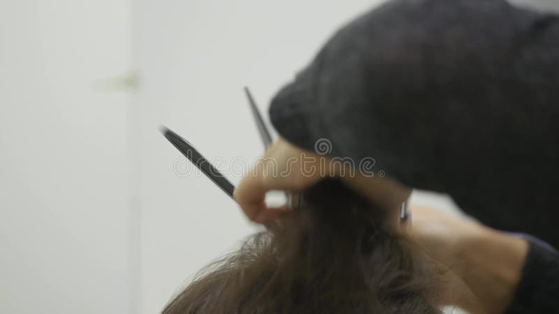 El peluquero del ` s de la mujer hace diseñar su pelo en el pelo corto