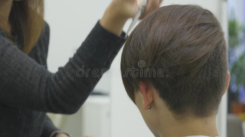 El peluquero del ` s de la mujer hace diseñar su pelo en el pelo corto