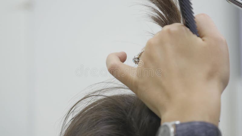 El peluquero del ` s de la mujer hace diseñar su pelo en el pelo corto