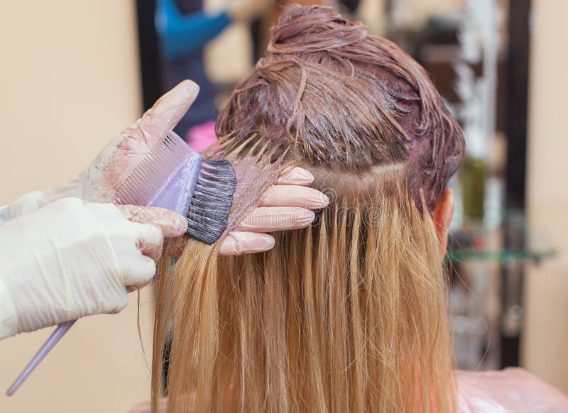 El peluquero pinta el pelo del ` s de la mujer en blanco, aplica la pintura a su pelo imagen de archivo libre de regalías El peluquero pinta el pelo del ` s de la mujer en blanco, aplica la pintura a su pelo imagen de archivo libre de regalías