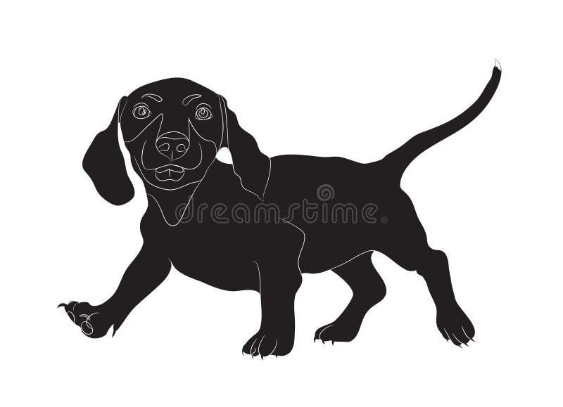 El perro basset se coloca, persigue, siluetea, vector ilustración del vector El perro basset se coloca, persigue, siluetea, vector ilustración del vector
