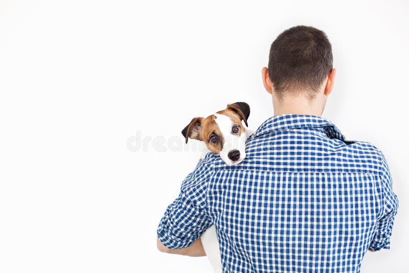El perro miente en el hombro de su due?o Jack Russell Terrier en las manos de su due?o en el fondo blanco El concepto de gente foto de archivo libre de regalías El perro miente en el hombro de su due?o Jack Russell Terrier en las manos de su due?o en el fondo blanco El concepto de gente foto de archivo libre de regalías