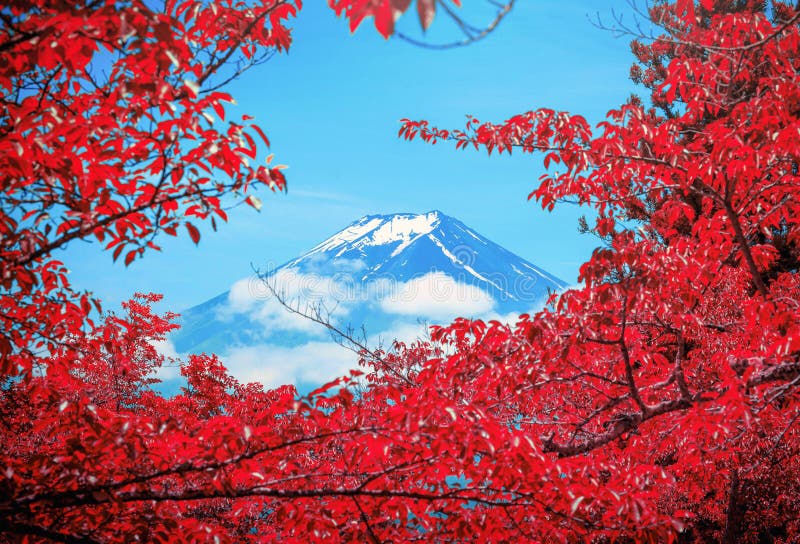 El pico de la mota y de árboles Crested Mt Fuji entre la nube con la hoja roja en th. El pico de la mota y de árboles Crested Mt Fuji entre la nube con la hoja roja en la primavera en d3ia en Fujiyoshida, Japón
