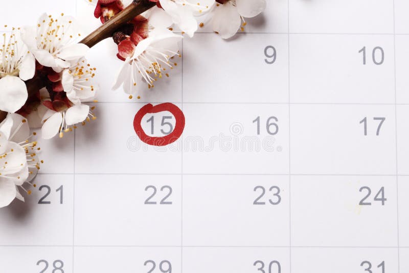 El planeamiento del calendario del embarazo que intenta tener el bebé imagenes de archivo El planeamiento del calendario del embarazo que intenta tener el bebé imagenes de archivo