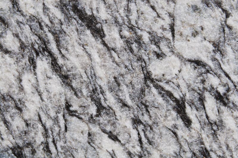 El primer Brown, se ennegrece con el fondo de piedra de mármol blanco Negro con el mármol blanco, textura del cuarzo Palmadita na fotografía de archivo libre de regalías El primer Brown, se ennegrece con el fondo de piedra de mármol blanco Negro con el mármol blanco, textura del cuarzo Palmadita na fotografía de archivo libre de regalías