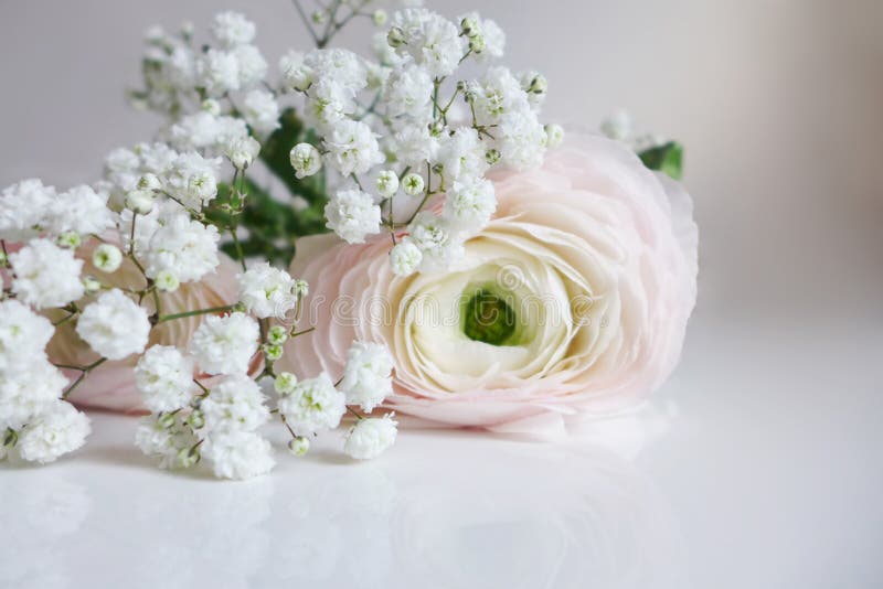 El primer del ramo de la boda hecho de ranúnculos persas, de ranúnculo y del Gypsophila blanco de la respiración del ` s del bebé imagen de archivo libre de regalías El primer del ramo de la boda hecho de ranúnculos persas, de ranúnculo y del Gypsophila blanco de la respiración del ` s del bebé imagen de archivo libre de regalías