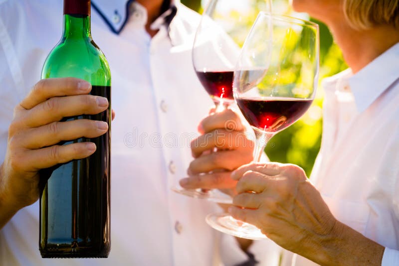 El primer tiró de los pares mayores que bebían el vino rojo imagen de archivo libre de regalías El primer tiró de los pares mayores que bebían el vino rojo imagen de archivo libre de regalías