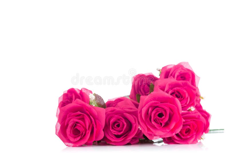 El ramo de rosas plásticas rosadas, con el espacio en blanco para añade el texto foto de archivo libre de regalías El ramo de rosas plásticas rosadas, con el espacio en blanco para añade el texto foto de archivo libre de regalías