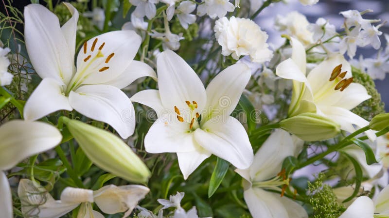 El ramo magnífico de lirios blancos y de claveles florece fotos de archivo libres de regalías El ramo magnífico de lirios blancos y de claveles florece fotos de archivo libres de regalías