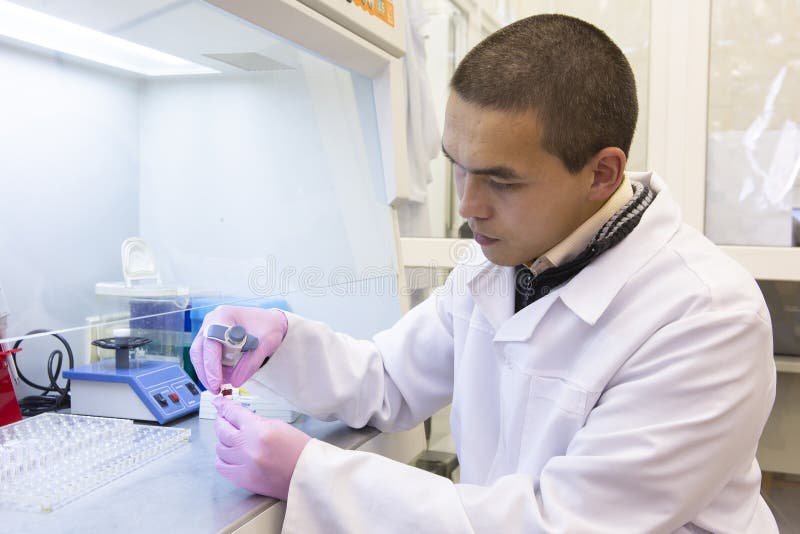 El retrato del científico joven escribe el informe del resultado en el tablero, tiro de la observación en el laboratorio foto de archivo libre de regalías El retrato del científico joven escribe el informe del resultado en el tablero, tiro de la observación en el laboratorio foto de archivo libre de regalías