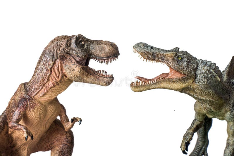 El Rex Del Tiranosaurio Contra Spinosaurus Aisló En El Fondo Blanco Imagen  de archivo - Imagen de historia, mini: 153729483