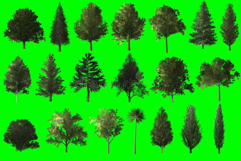 el roble verde con la hierba y el cielo azul se nublan el fondo ilustración del vector el roble verde con la hierba y el cielo azul se nublan el fondo ilustración del vector