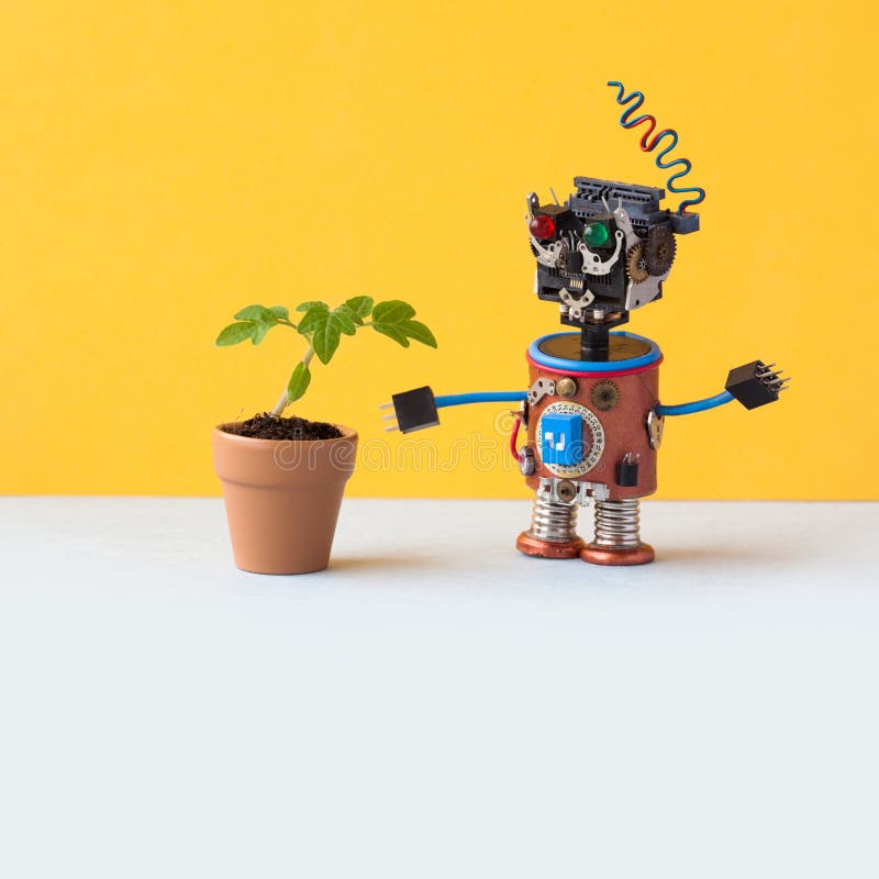 El robot explora una planta verde viva en un pote de arcilla de la flor Inteligencia artificial contra la planta orgánica de la v fotografía de archivo libre de regalías El robot explora una planta verde viva en un pote de arcilla de la flor Inteligencia artificial contra la planta orgánica de la v fotografía de archivo libre de regalías