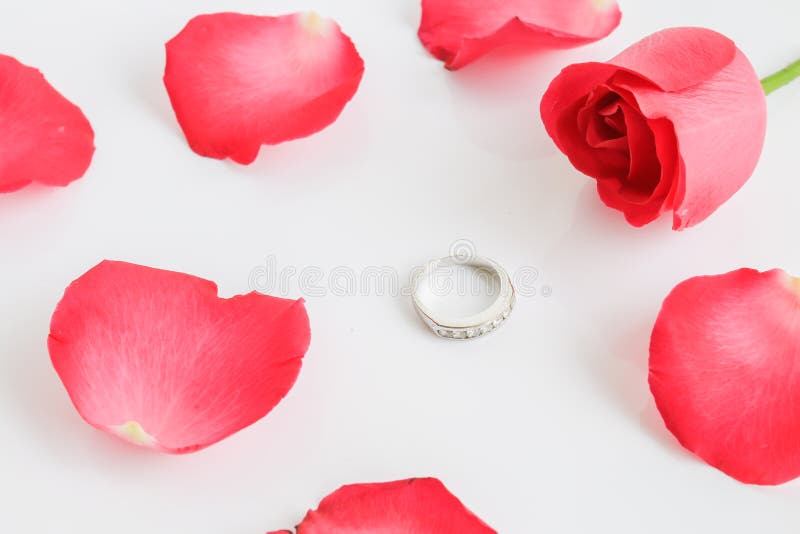 El rojo se levantó con el anillo fotos de archivo El rojo se levantó con el anillo fotos de archivo