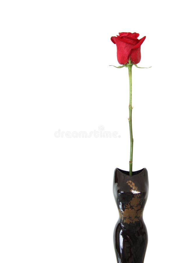 El rojo se levantó en florero fotos de archivo El rojo se levantó en florero fotos de archivo