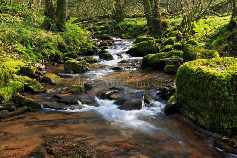 El río Ennig; en la reserva de naturaleza de Pwll y Wrach fotos de archivo libres de regalías El río Ennig; en la reserva de naturaleza de Pwll y Wrach fotos de archivo libres de regalías