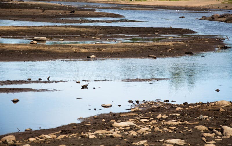 El río es bajo y muy contaminado por la gente Hay mucha basura y la basura en la charca y ésta se ha convertido en un probl enorm imagen de archivo libre de regalías El río es bajo y muy contaminado por la gente Hay mucha basura y la basura en la charca y ésta se ha convertido en un probl enorm imagen de archivo libre de regalías
