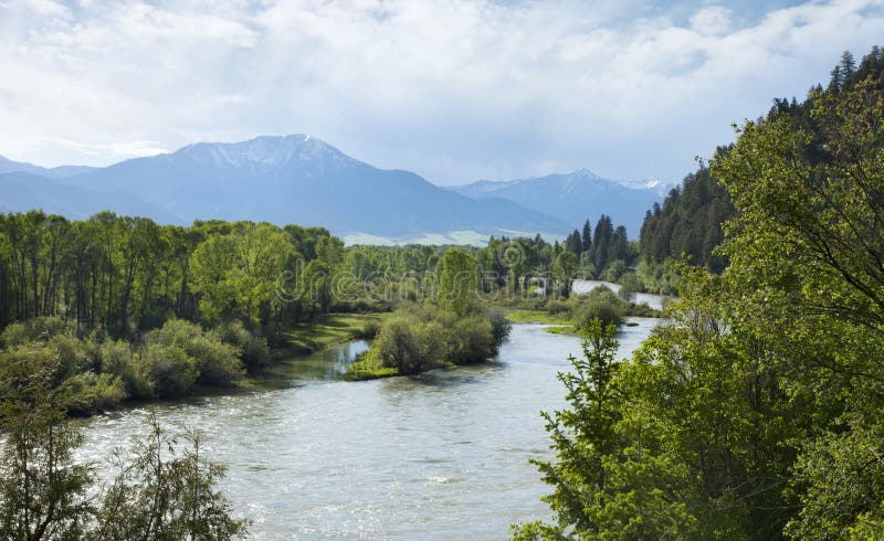 El río Snake South Fork en el valle del cisne de Idaho imágenes de archivo libres de regalías El río Snake South Fork en el valle del cisne de Idaho imágenes de archivo libres de regalías