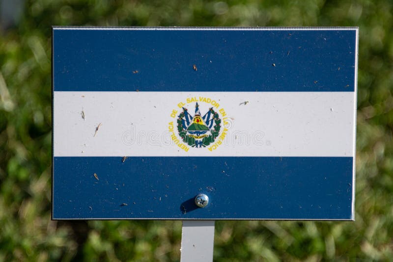 El Salvador flagga som isoleras på grönt gräs arkivbilder El Salvador flagga som isoleras på grönt gräs arkivbilder