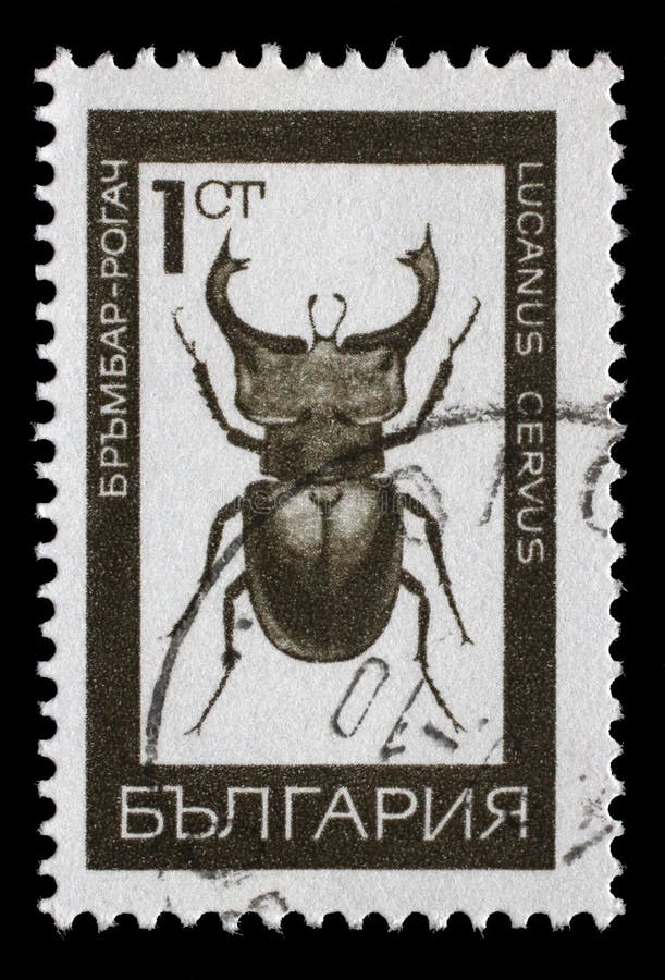 El sello impreso en Bulgaria muestra imagen de un cervus del lucanus fotografía de archivo libre de regalías El sello impreso en Bulgaria muestra imagen de un cervus del lucanus fotografía de archivo libre de regalías