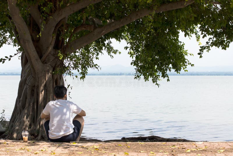 El sentarse debajo de un lago del árbol imagen de archivo libre de regalías El sentarse debajo de un lago del árbol imagen de archivo libre de regalías
