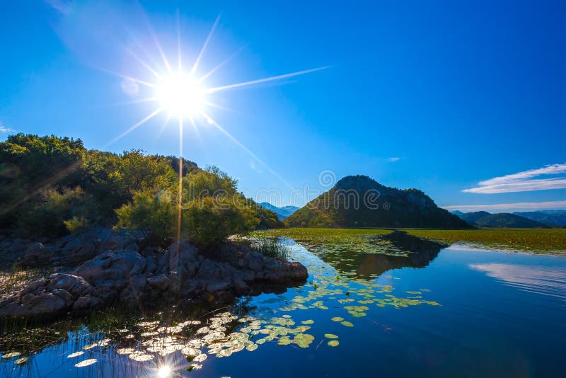 El sol brillante sobre el lago Skadar, demasiado grande para su edad con el lilie del agua foto de archivo El sol brillante sobre el lago Skadar, demasiado grande para su edad con el lilie del agua foto de archivo