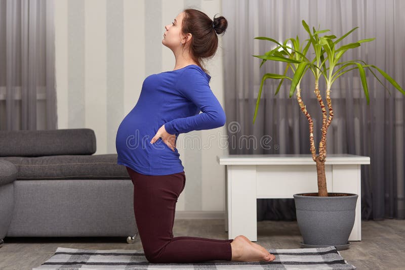 El tiro interior de la señora embarazada con el bollo del pelo, tiene vientre grande, mantiene las manos en la parte posterior, v imagenes de archivo El tiro interior de la señora embarazada con el bollo del pelo, tiene vientre grande, mantiene las manos en la parte posterior, v imagenes de archivo