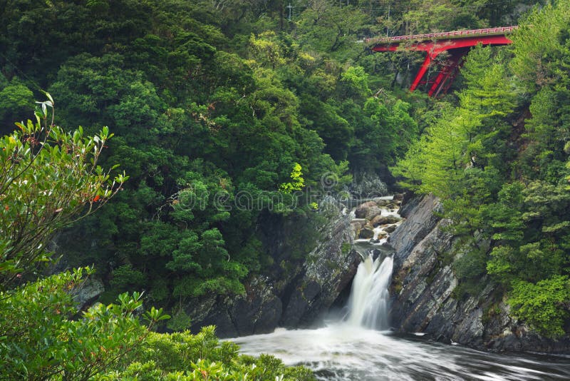 El Toroki cae en la isla de Yakushima, Japón fotografía de archivo El Toroki cae en la isla de Yakushima, Japón fotografía de archivo