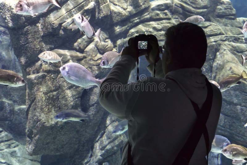 El turista masculino caucásico que sostiene una cámara digital está tomando las fotos de diversas especies de pescados en ‘Cretaq imagen de archivo El turista masculino caucásico que sostiene una cámara digital está tomando las fotos de diversas especies de pescados en ‘Cretaq imagen de archivo