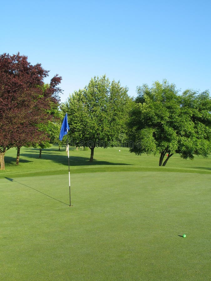 Early morning on the golf green. Early morning on the golf green.