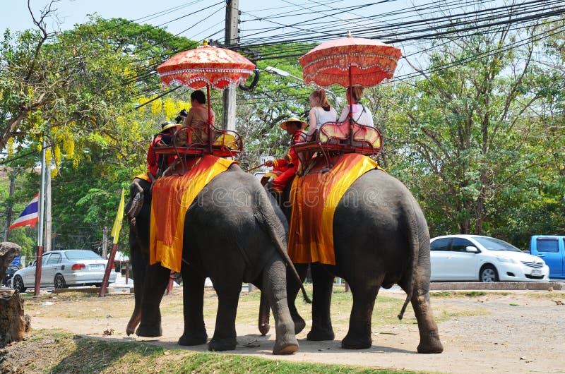El viajero del extranjero que monta elefantes tailandeses viaja en Ayutthaya Tailandia fotos de archivo libres de regalías El viajero del extranjero que monta elefantes tailandeses viaja en Ayutthaya Tailandia fotos de archivo libres de regalías
