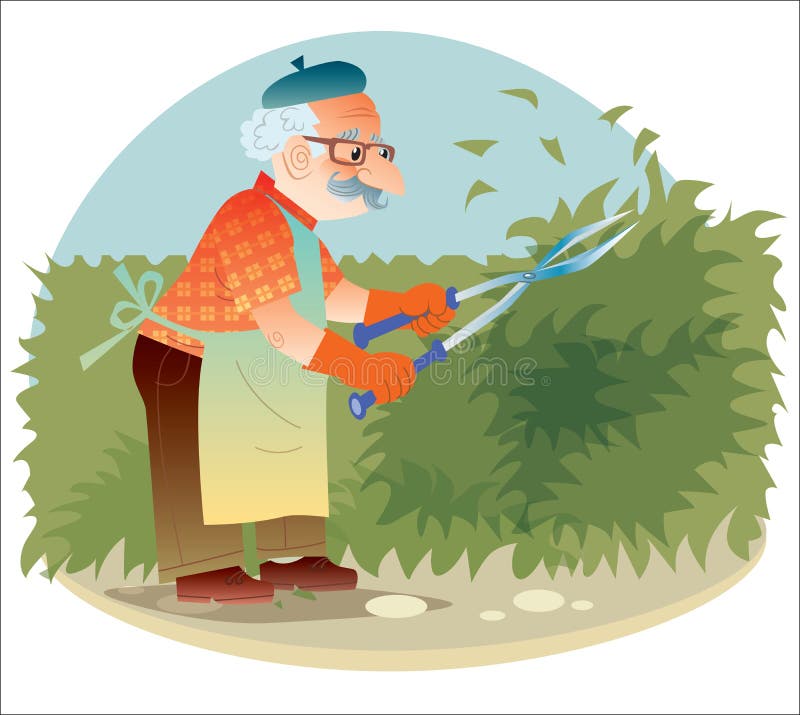 El viejo jardinero que trabaja en el jardín que corta los arbustos libre illustration El viejo jardinero que trabaja en el jardín que corta los arbustos libre illustration