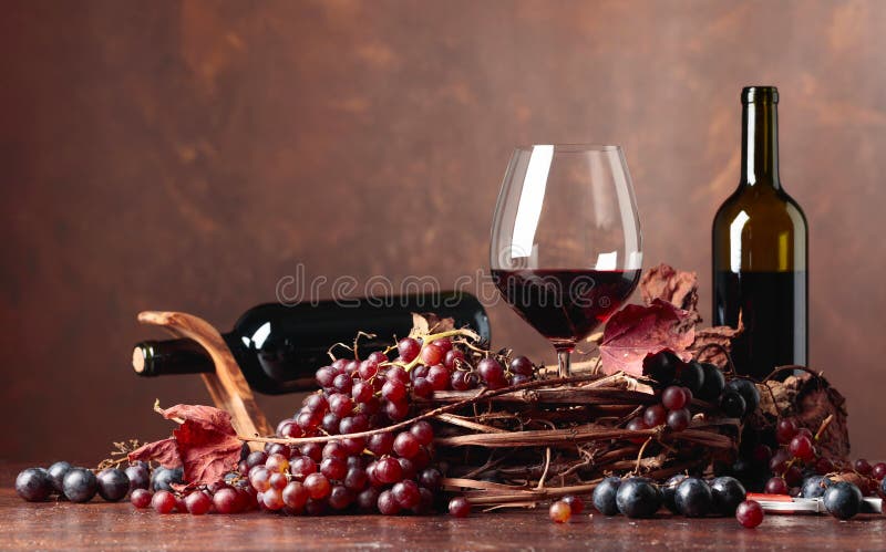 El vino rojo y las uvas frescas con secado encima de vid se va fotografía de archivo libre de regalías El vino rojo y las uvas frescas con secado encima de vid se va fotografía de archivo libre de regalías