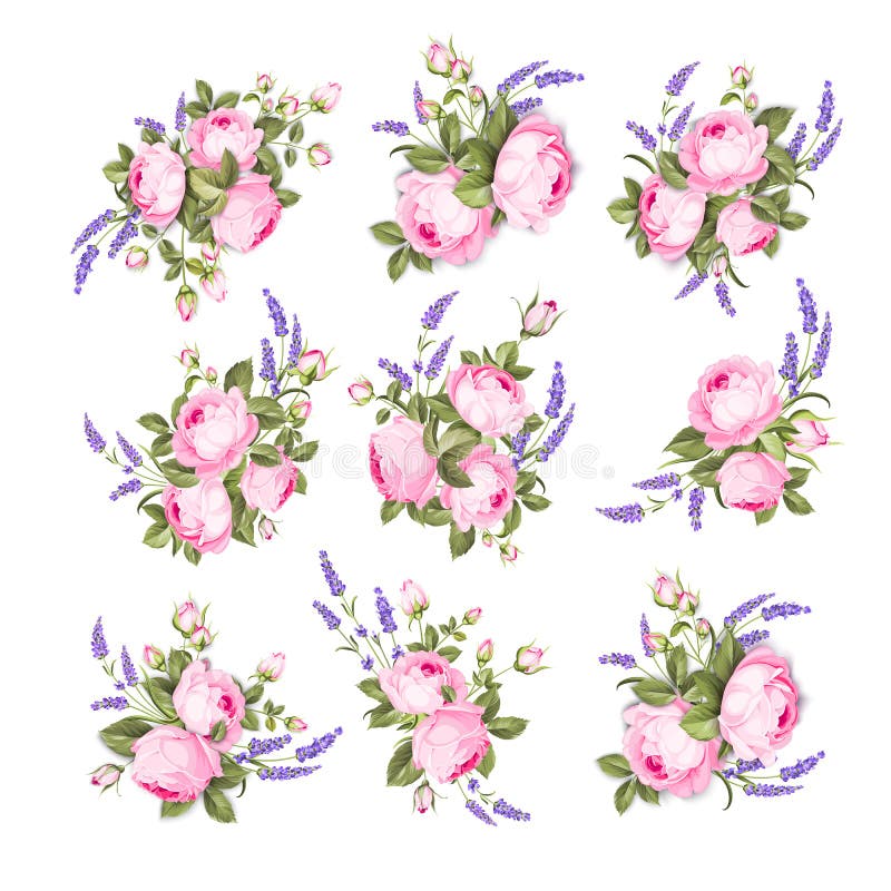 El vintage subió las flores fijadas sobre el fondo blanco Casandose verano las flores lían Colección de la flor de mano de la acu stock de ilustración El vintage subió las flores fijadas sobre el fondo blanco Casandose verano las flores lían Colección de la flor de mano de la acu stock de ilustración