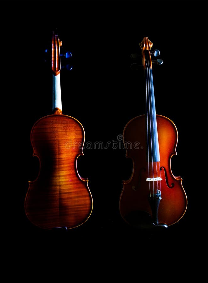 El violín (frente y parte posterior)