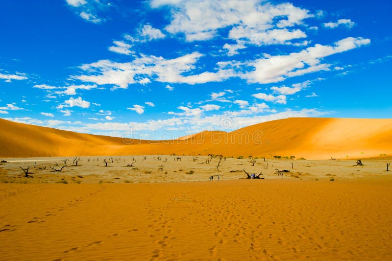 El Vlei en el desierto y las dunas, Namibia Dunas anaranjadas en Sossusvlei, Namibia imagen de archivo libre de regalías El Vlei en el desierto y las dunas, Namibia Dunas anaranjadas en Sossusvlei, Namibia imagen de archivo libre de regalías