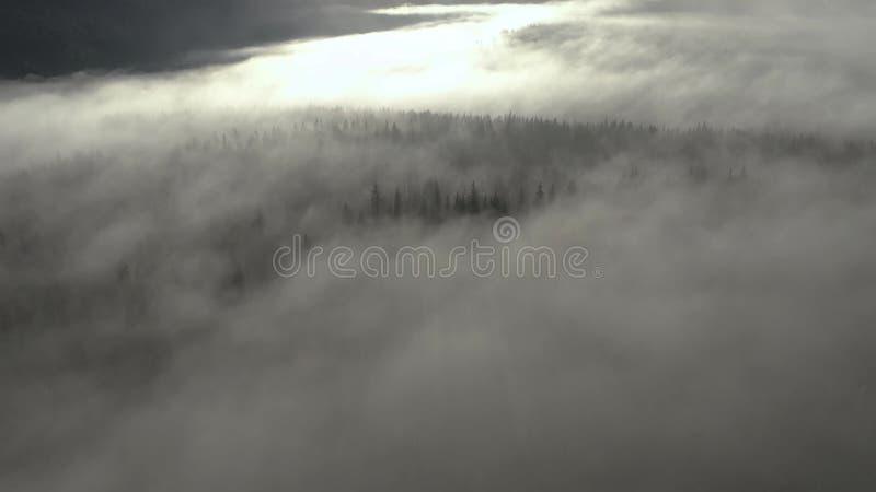 El volar sobre las nubes Película aérea del abejón 4k de la salida del sol, de la mañana brumosa y del bosque almacen de video El volar sobre las nubes Película aérea del abejón 4k de la salida del sol, de la mañana brumosa y del bosque almacen de video